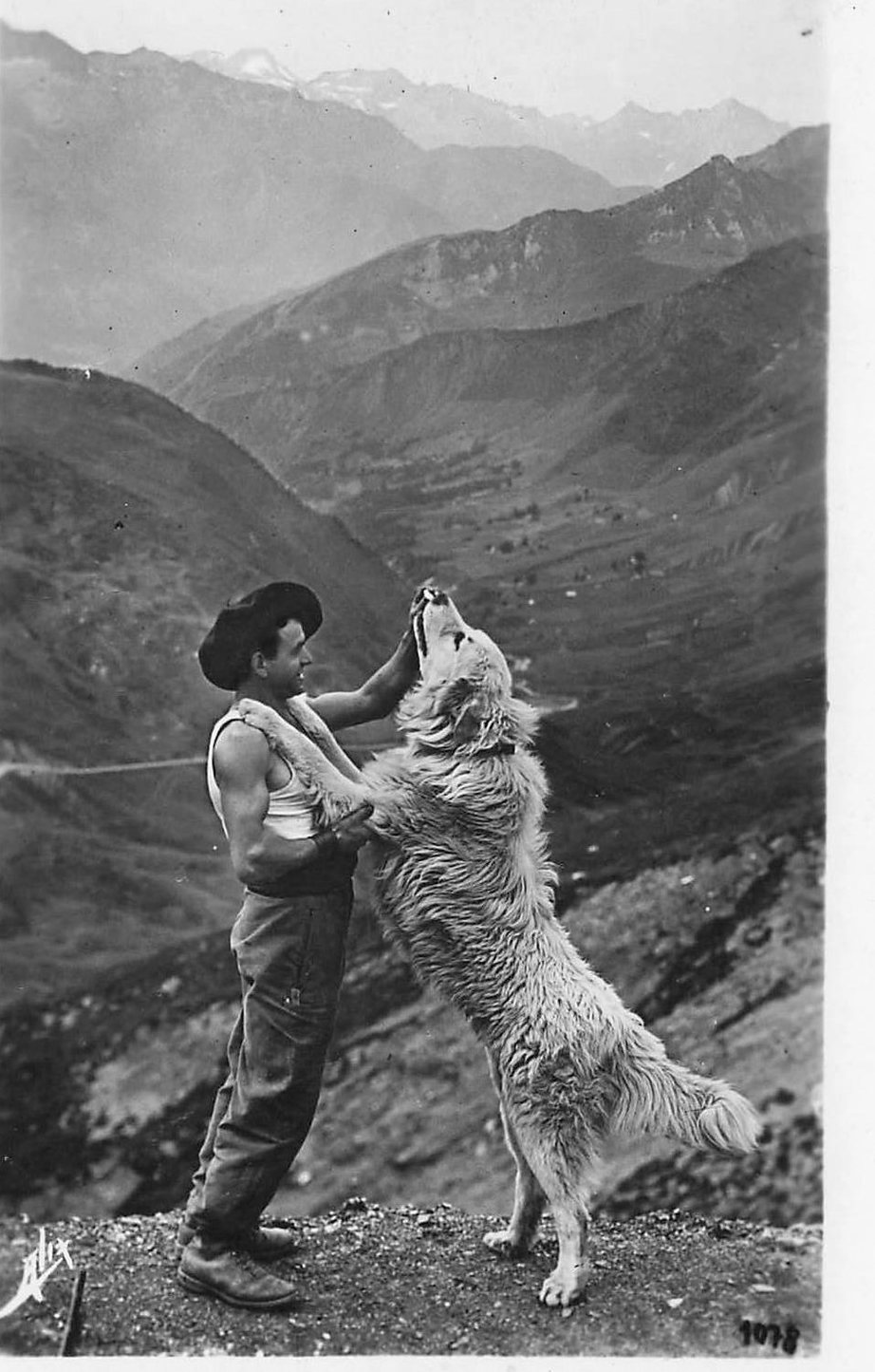Un berger en béret tient par les pattes avant un grand chien blanc dressé contre lui, au-dessus d'une vallée des Pyrénées